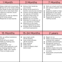 14 Month Old Development Chart