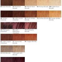 3n Hair Color Chart