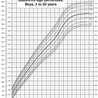 4 Year Old Boy Height Percentile Chart