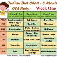 8 Month Old Baby Food Chart India