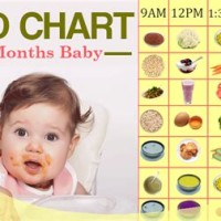 8 Month Old Baby Food Chart Indian