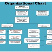 Accounting Department Anizational Chart
