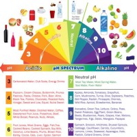 Acid Alkaline Ph Food Chart