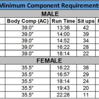 Air Force Fitness Chart Female 20 29