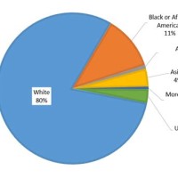 America Ethnicity Pie Chart