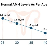 Amh Levels Chart By Age Uk