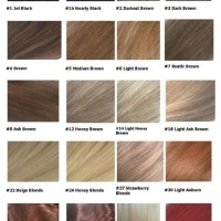 Angel Remy Hair Extensions Colour Chart
