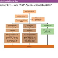 Anizational Chart For Home Health Agency