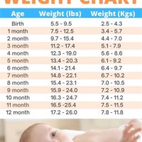 Babies Ideal Weight Chart
