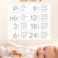 Baby Clothing Size Chart Carters