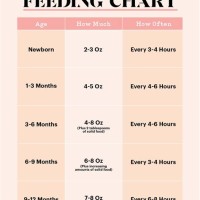 Baby Eating Chart By Age