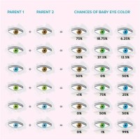 Baby Eye Color Chart Hazel And Green