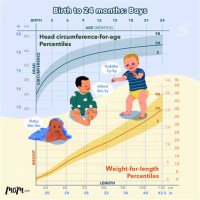 Baby Percentile Size Chart