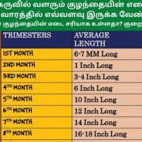 Baby Weight Chart During Pregnancy In Kgs