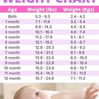 Baby Weight Chart In Kg 18 Months