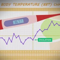 Basal Body Temperature Chart Ovulation Celsius