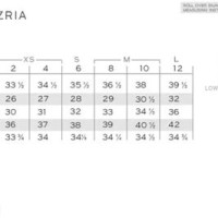 Bcbg Max Azria Size Chart