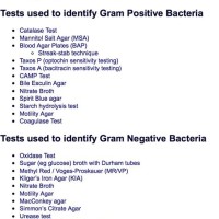 Biochemical Test Chart For Identification Of Bacterial Cells