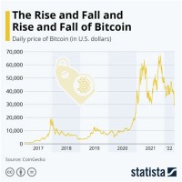 Bitcoin Growth Chart 2017