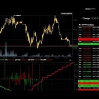 Bitcoin Real Time Chart