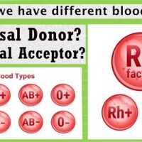 Blood Group Chart Donor And Acceptor In Hindi