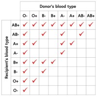 Blood Type Donor And Receiver Chart
