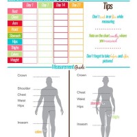 Body Measurement Chart Weight Loss Excel Template
