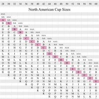Bra Size Chart In Usa