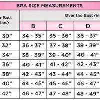 Bra Size Chart Inches Us
