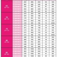 Bust Size Chart In Inches