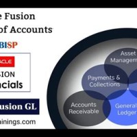 Chart Of Accounts Structure In Oracle Fusion