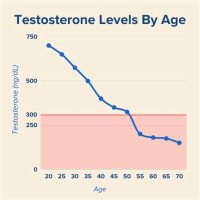 Chart Showing Testosterone Levels By Age