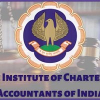 Chartered Accountant In Hindi