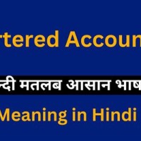 Chartered Accountant Ka Hindi Meaning