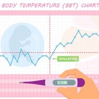 Charting Temperature For Pregnancy