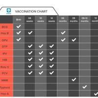 Child Vaccination Chart Government India 2019