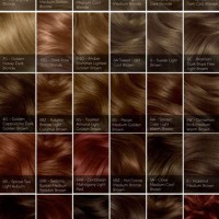 Clairol Natural Instincts Hair Color Chart