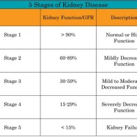 Creatinine Level Kidney Function Levels Chart