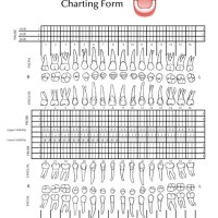 Dental Charting Practice Worksheets
