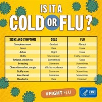 Difference Between Cold And Swine Flu Symptoms Chart