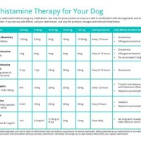 Dog Antihistamine Dosage Chart