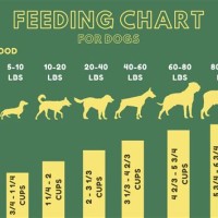 Dog Food Feeding Chart By Weight