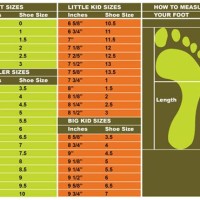 Easyboot Size Chart In Inches
