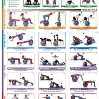 Exercise Ball Workout Charts