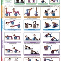 Exercise Chart For Ners