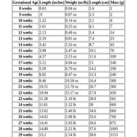Fetal Weight Chart Kg