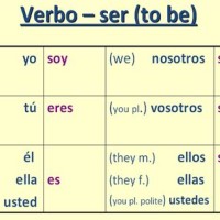 Fill In The Chart Below For Verb Ser