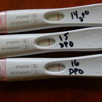 First Response Early Result Pregnancy Test Accuracy Chart