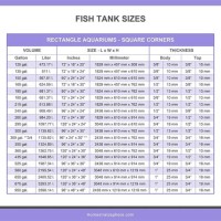 Fish Tank Filter Size Chart