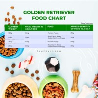 Food Chart For Golden Retriever Puppies